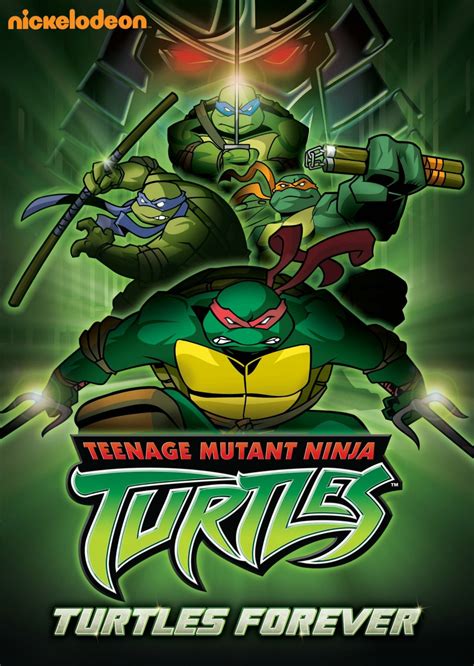 2003 turtles